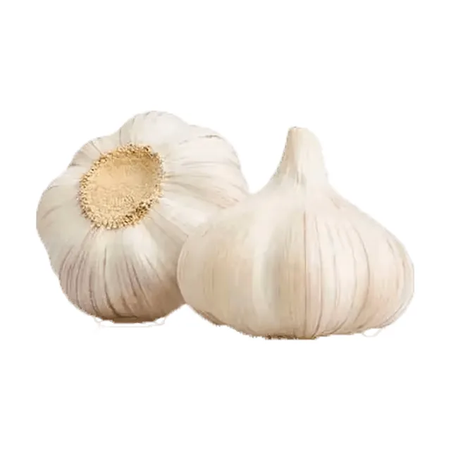 Česen 250g