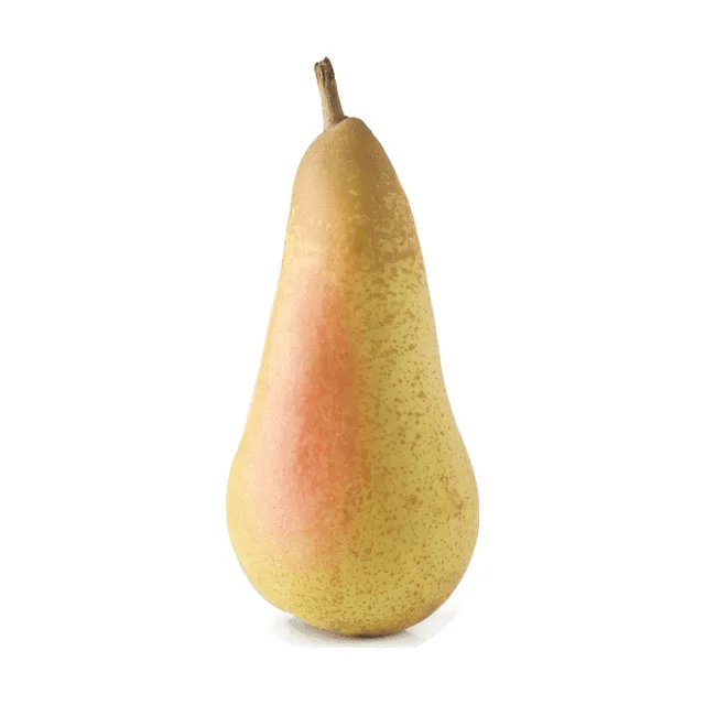 Hruška Abata 1kg