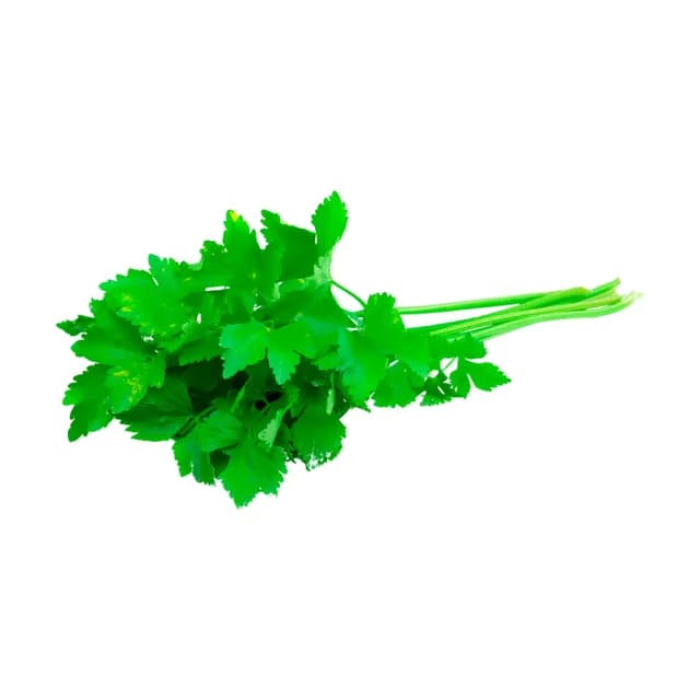 Koriander 100g