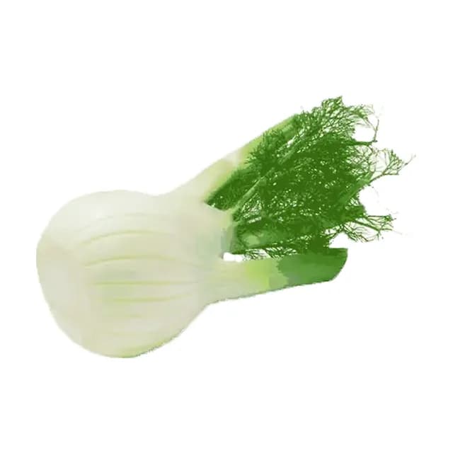Koromač 2kos