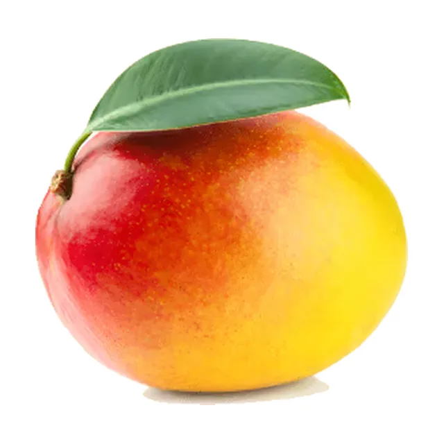 Mango 1kos