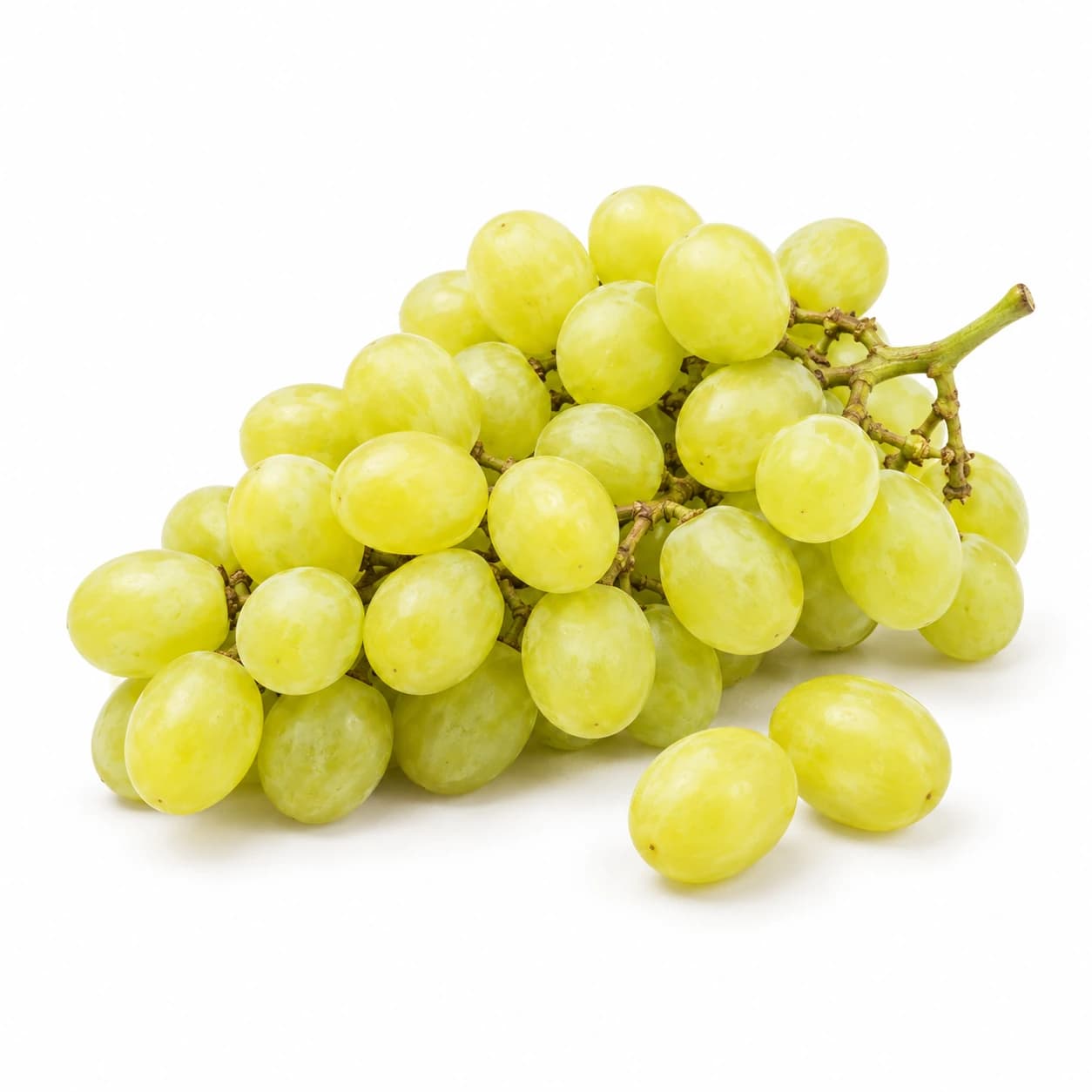 Grozd belega grozdja s svetlo zelenimi jagodami in dvema jagodama ob njem.