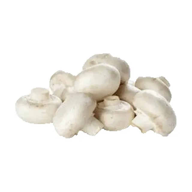 Sveži šampinjoni 0,5kg