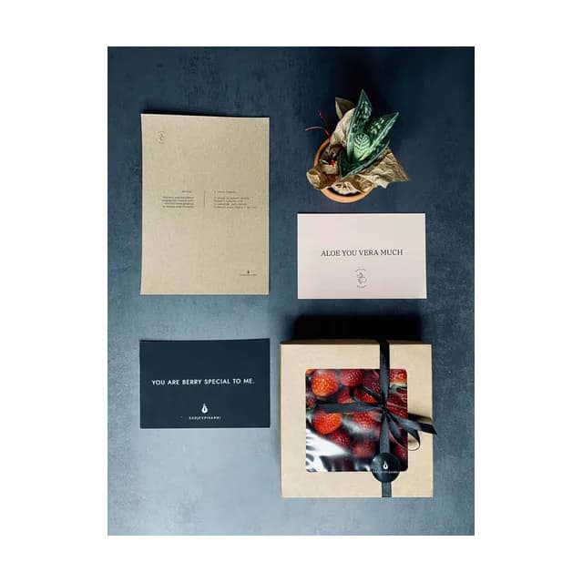 Valentino paket