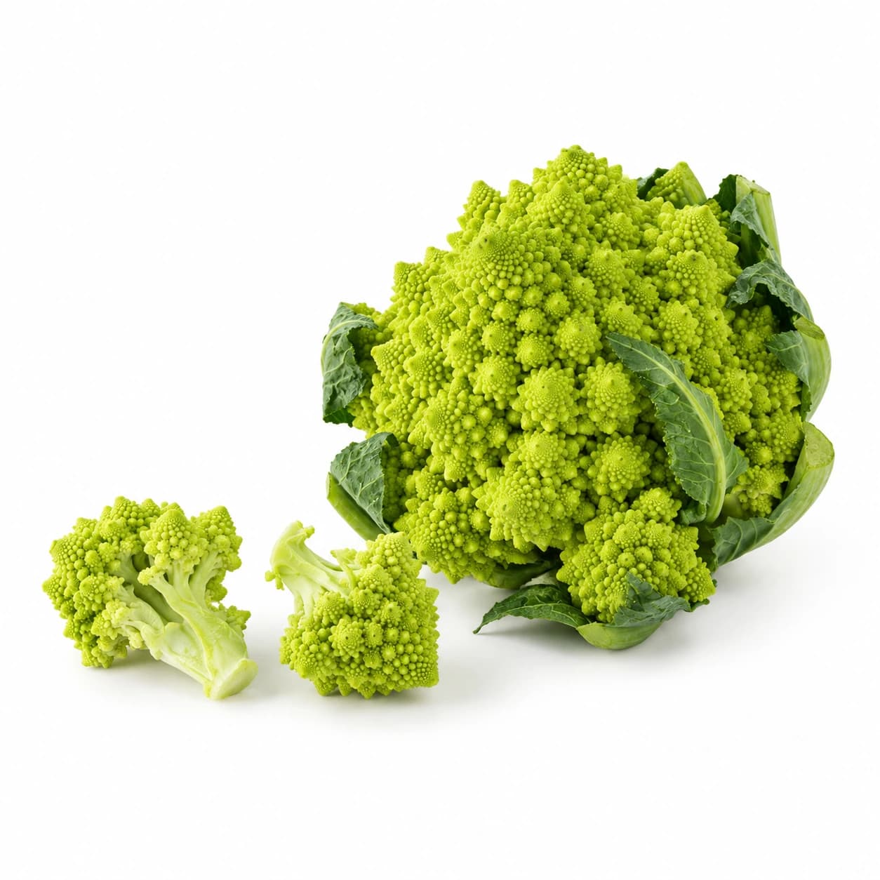 Zelena cvetača Romanesco s stožčastimi cvetovi in dvema odrezanima cvetkoma na belem ozadju.