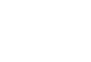 Sadje V Pisarni