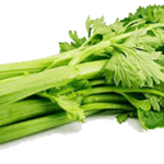 Zelena steblo 1kos